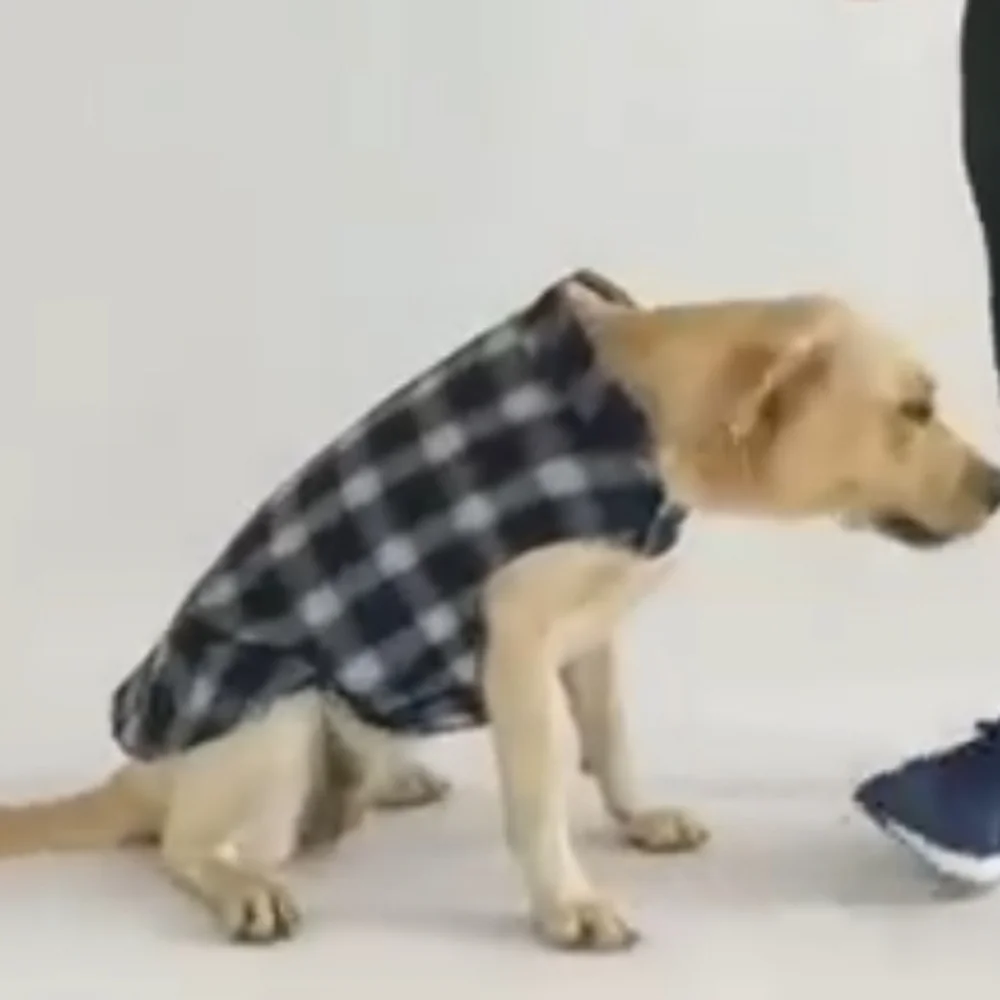 Letydog Dog Reflective British Plaid Reversible Jacket Size S